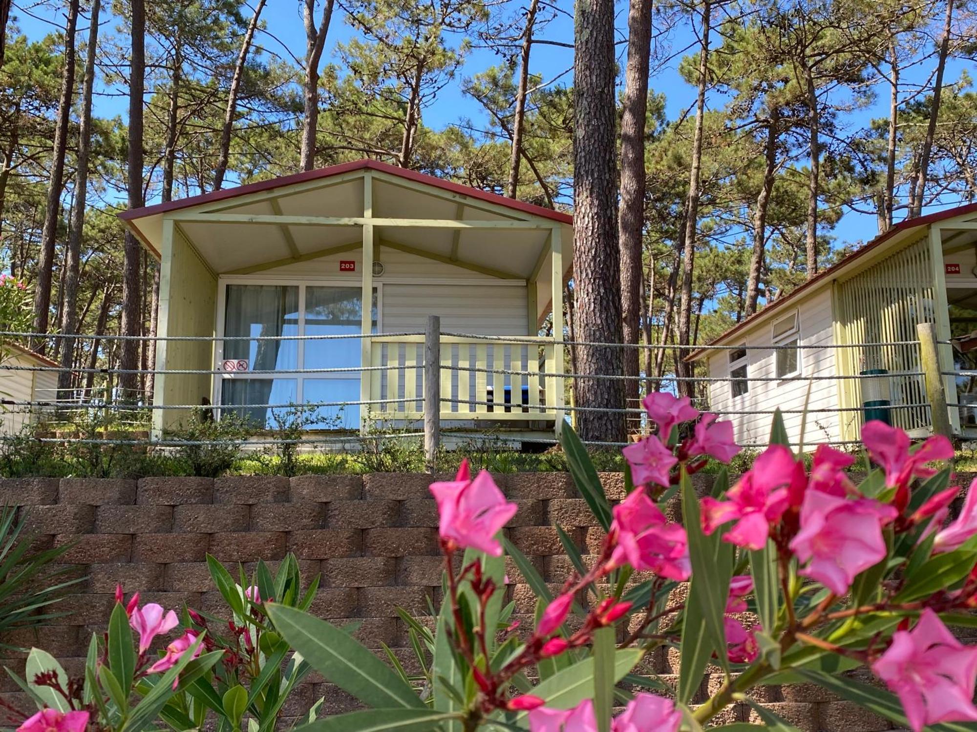 Hotel Parque De Campismo Orbitur Valado à Nazaré Extérieur photo